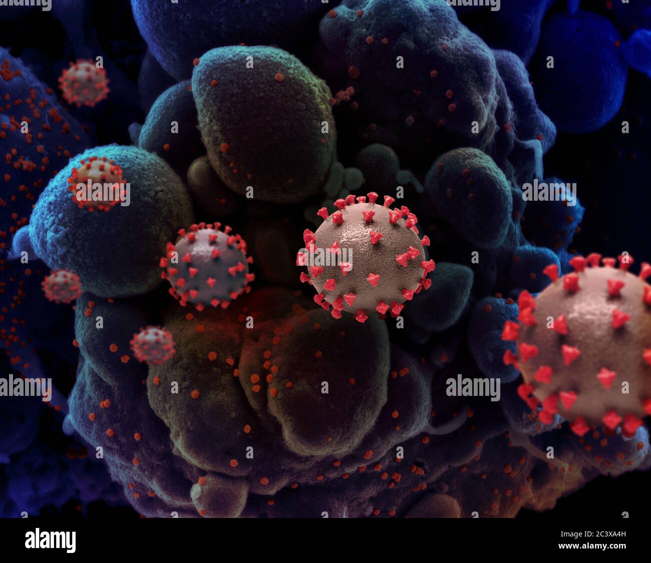 Novel Coronavirus SARS-COV-2 rendering creativo di particelle di virus SARS-COV-2. Nota: Non scalare. Foto Stock