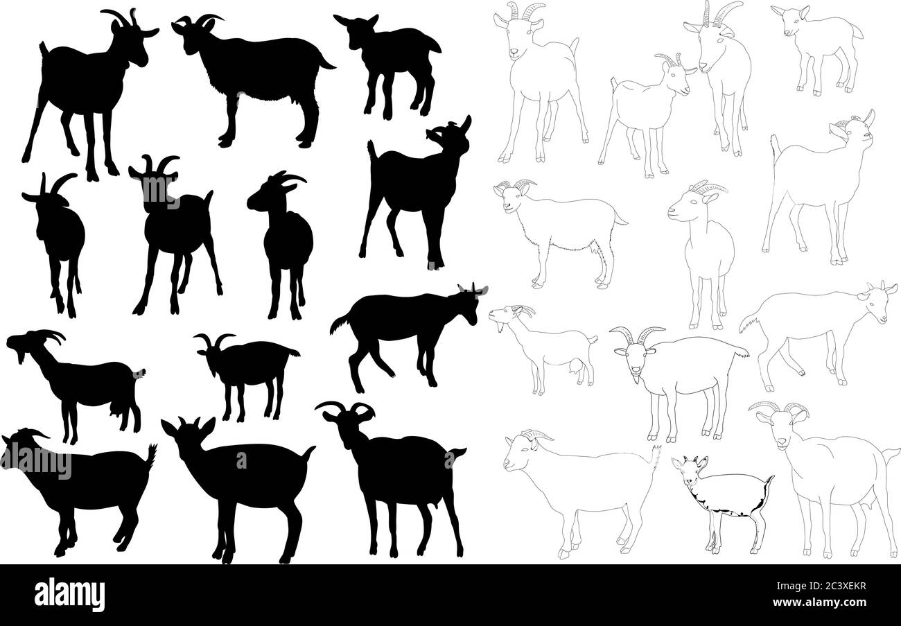 insieme isolato di sagome di capra, profilo di capra Illustrazione Vettoriale