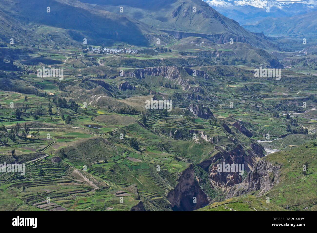 Il Colca Valley, Arequipa, Perù, Sud America Foto Stock