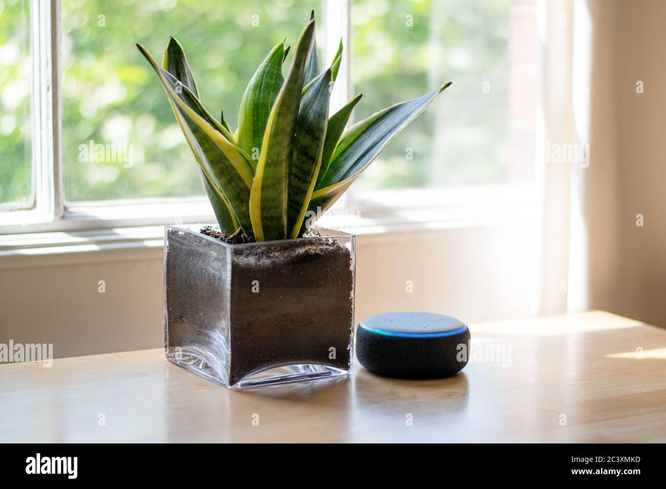 Londra, Regno Unito - Maggio 2020: Amazon Echo Dot, l'assistente virtuale, in un ambiente domestico splendidamente progettato. Foto Stock