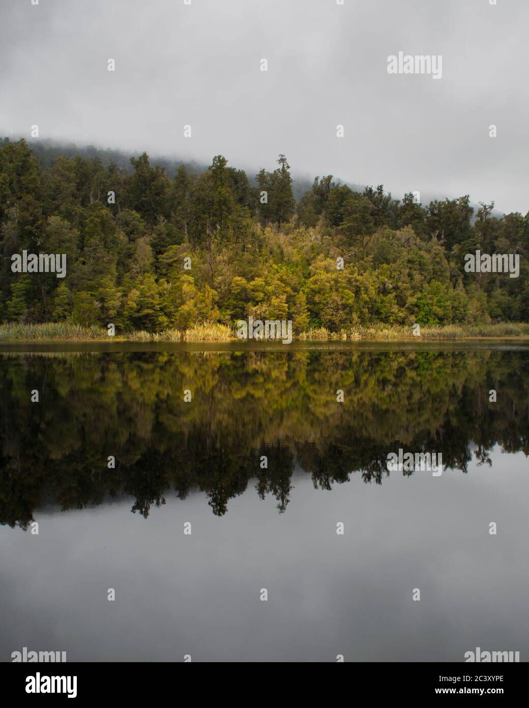 Riflesso di alberi in acqua al lago Matheson in Nuova Zelanda Foto Stock