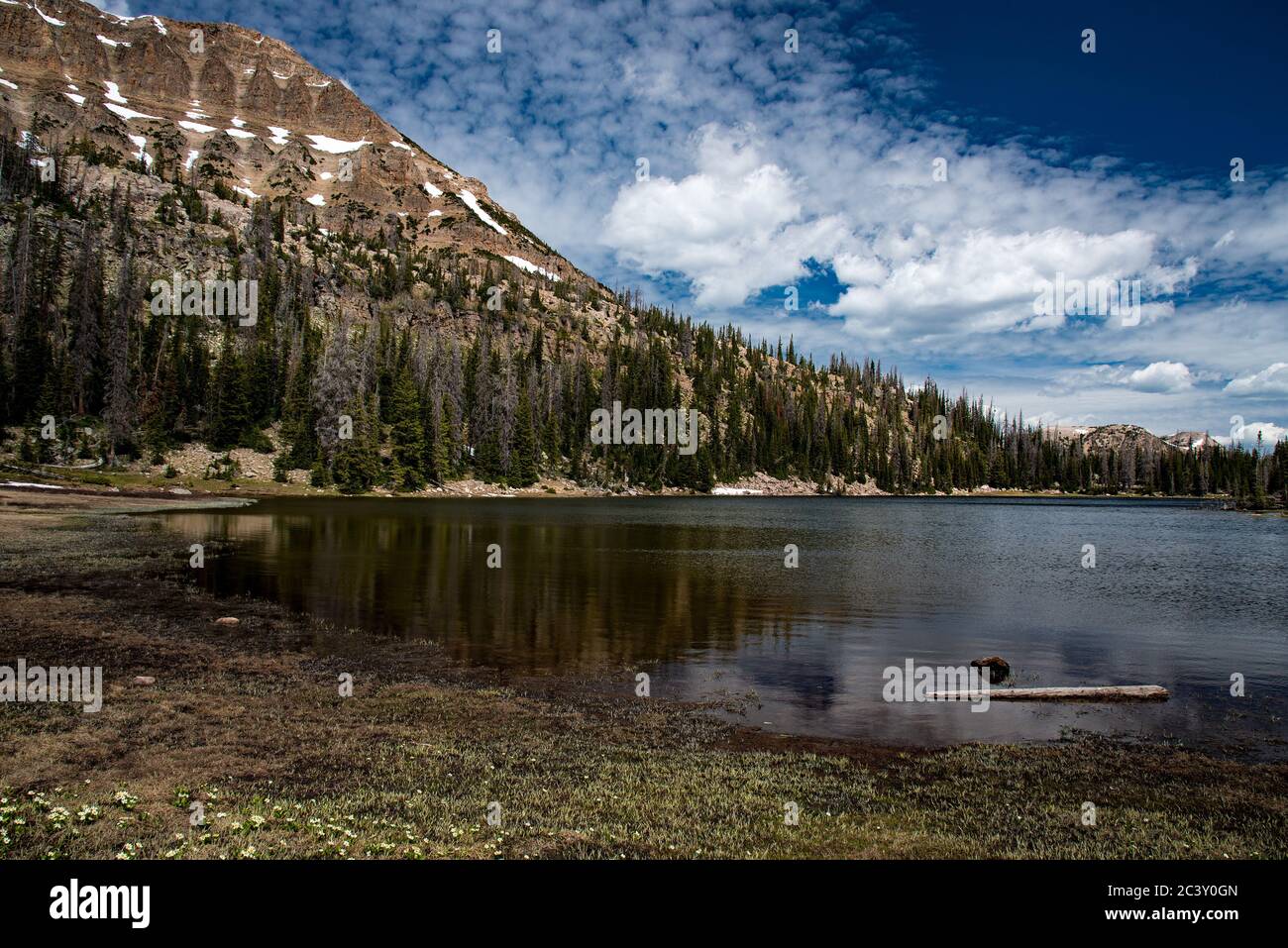All'inizio dell'estate in lago di alta montagna nelle montagne di High Uintah. Situato a est di Salt Lake City, Utah, USA. Foto Stock