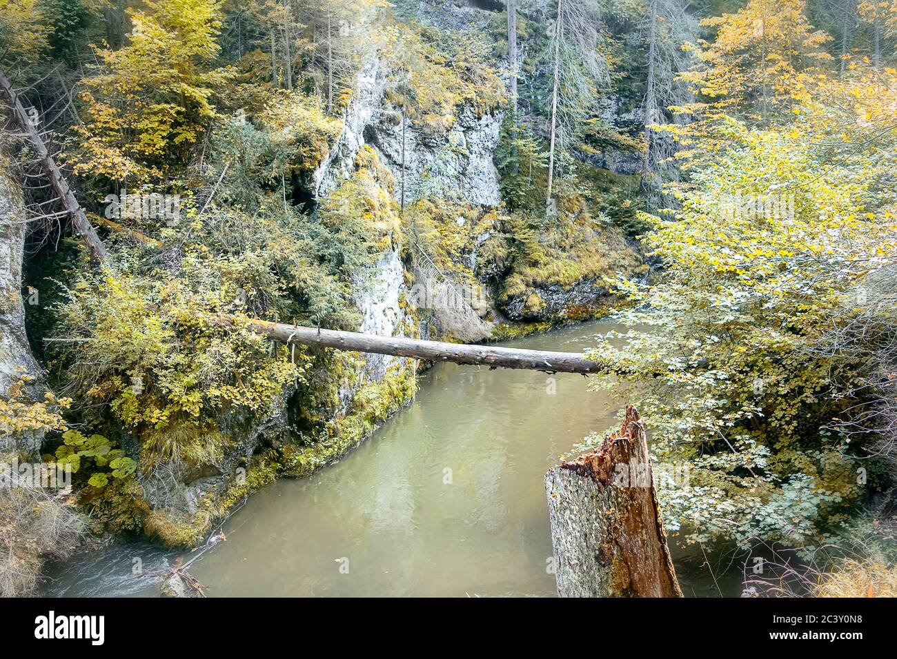 Fiume Hornad che corre tra le rocce del paradiso slovacco Foto Stock