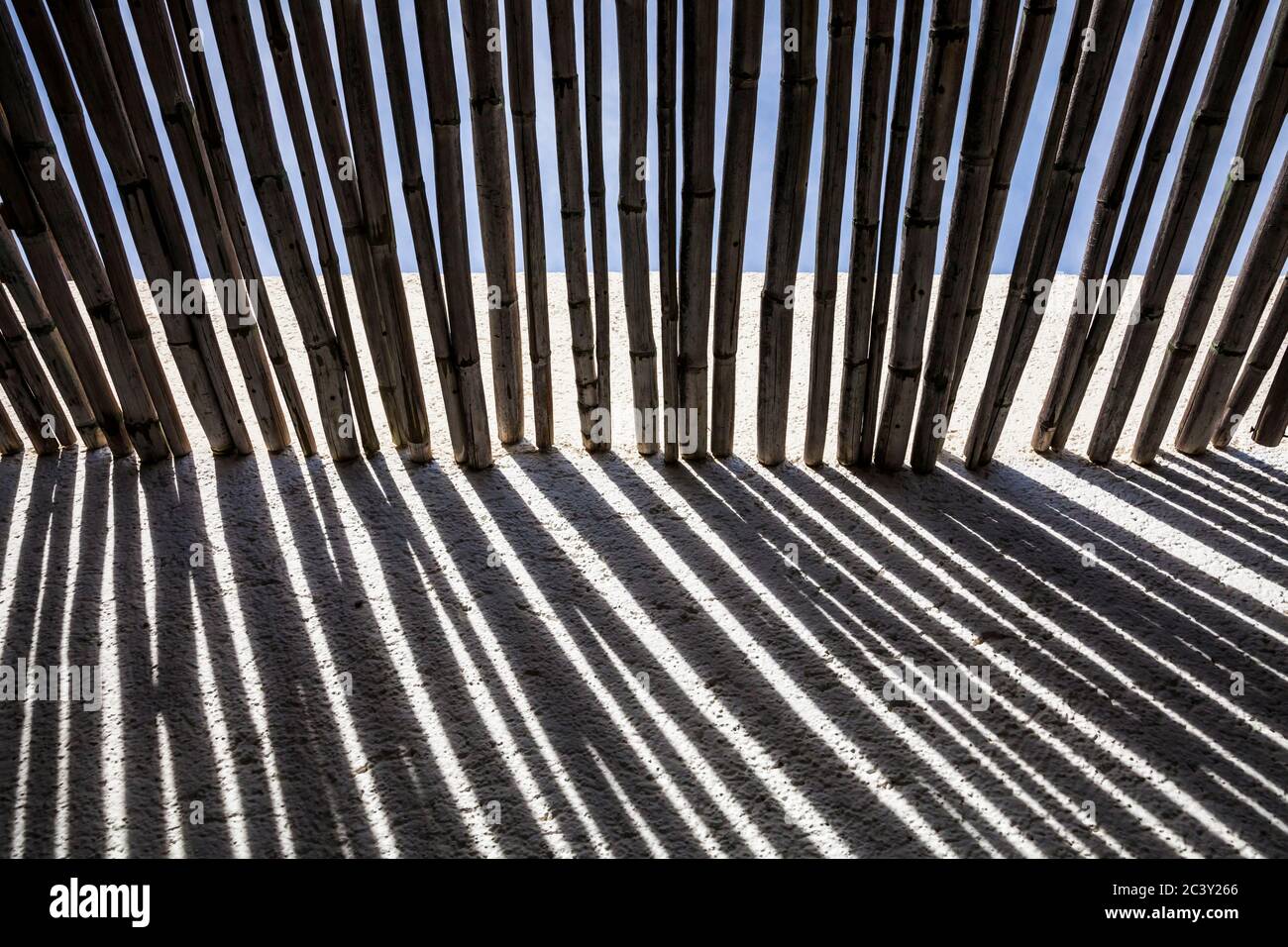 Un tetto di ombra di bambù palo, Hotel Casa Natalia, San Jose del Cabo, B.C. S., Messico. Foto Stock