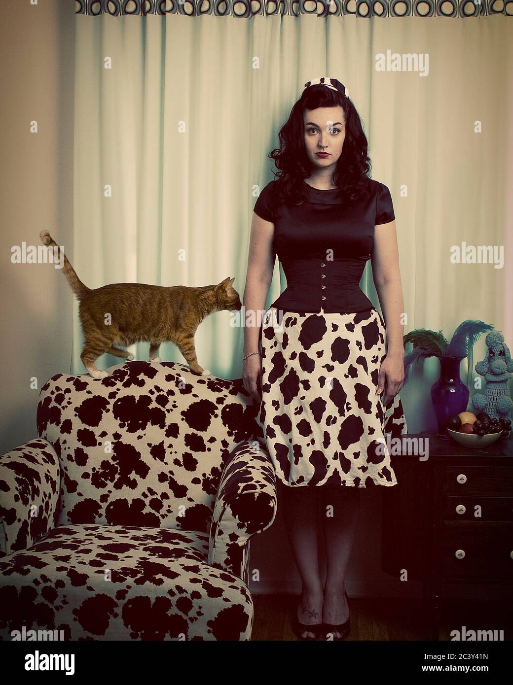 Ritratto interno di signora gatto Foto Stock
