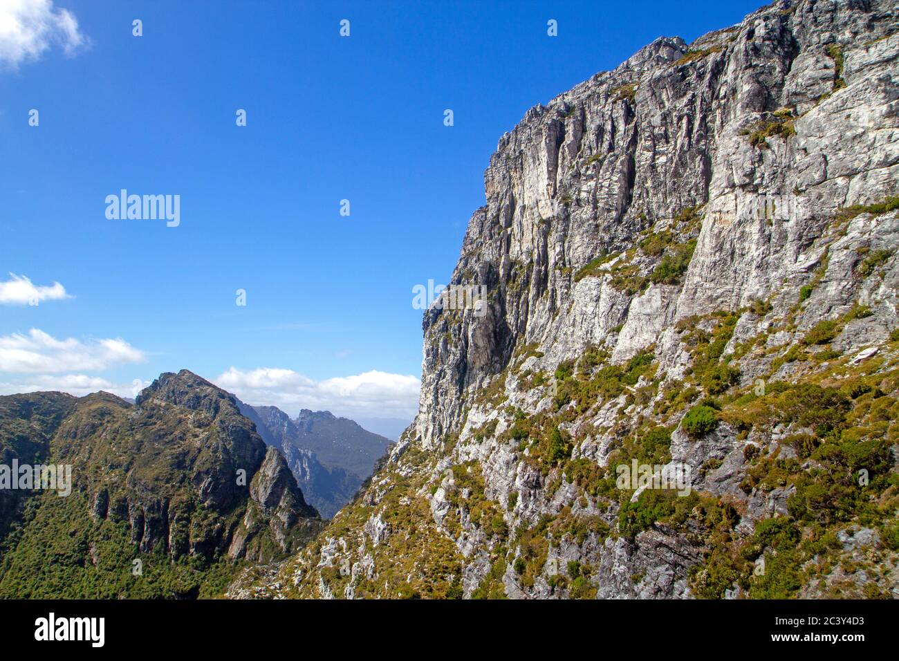 Vista dalle pendici del Frenchmans Cap Foto Stock