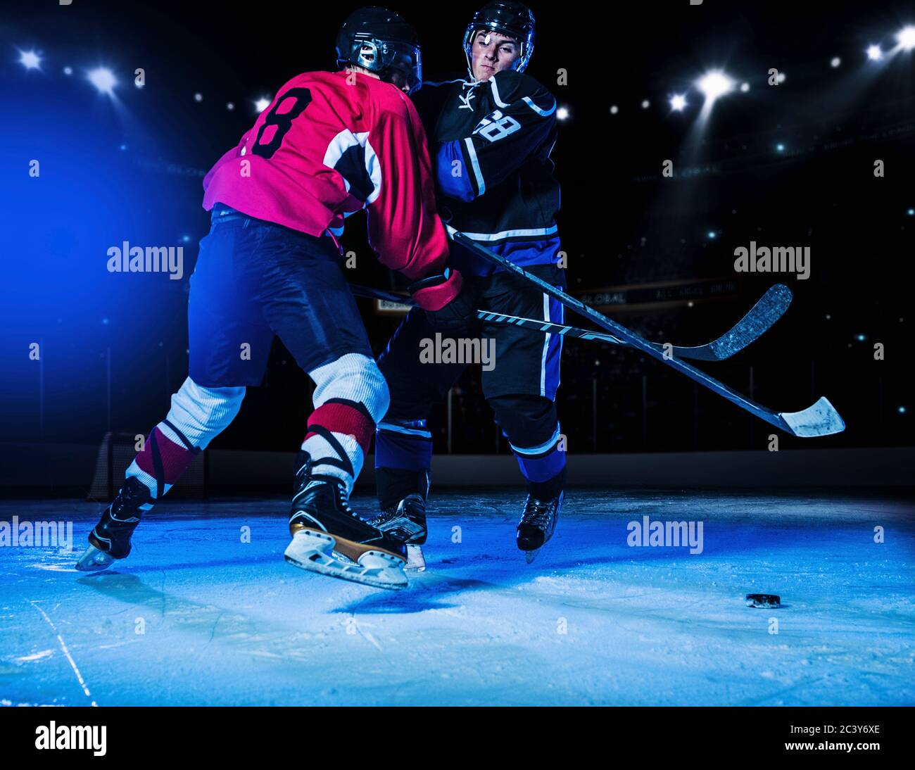 Giocatori di Hockey che lottano per il puk Foto Stock