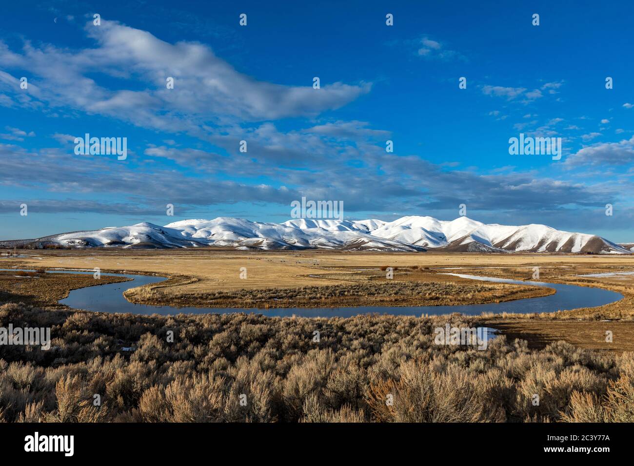 USA, Idaho, Sun Valley, Paesaggio con fiume ossbow e montagne innevate sullo sfondo Foto Stock