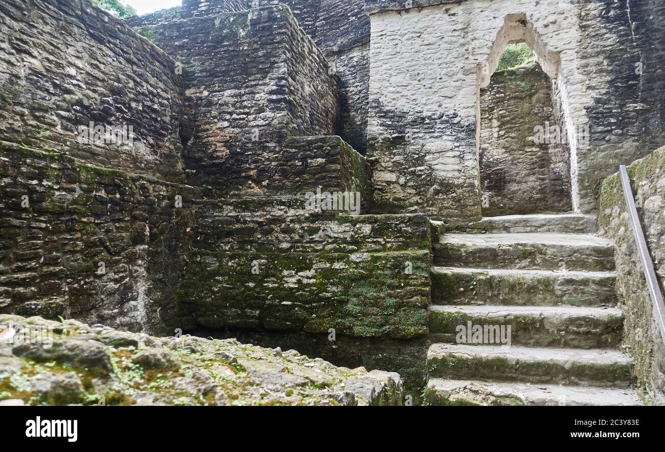 Belize, vista di antiche rovine Foto Stock