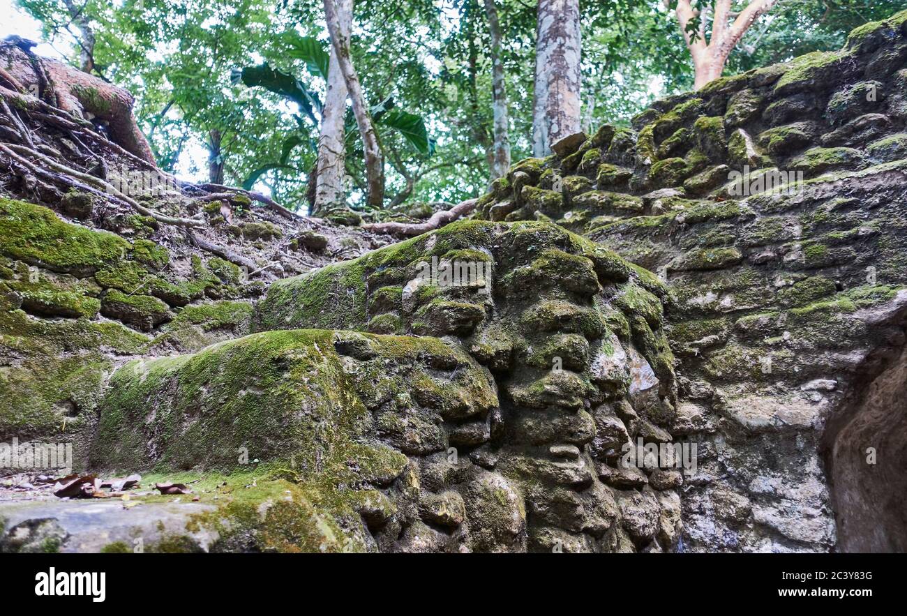 Belize, vista di antiche rovine Foto Stock