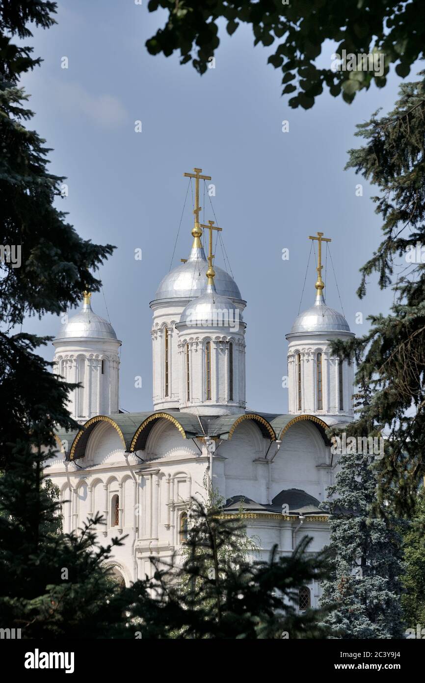 Cupole della Chiesa dei dodici Apostoli incorniciate da alberi. Vista dal Giardino Taynitsky del Cremlino di Mosca Foto Stock