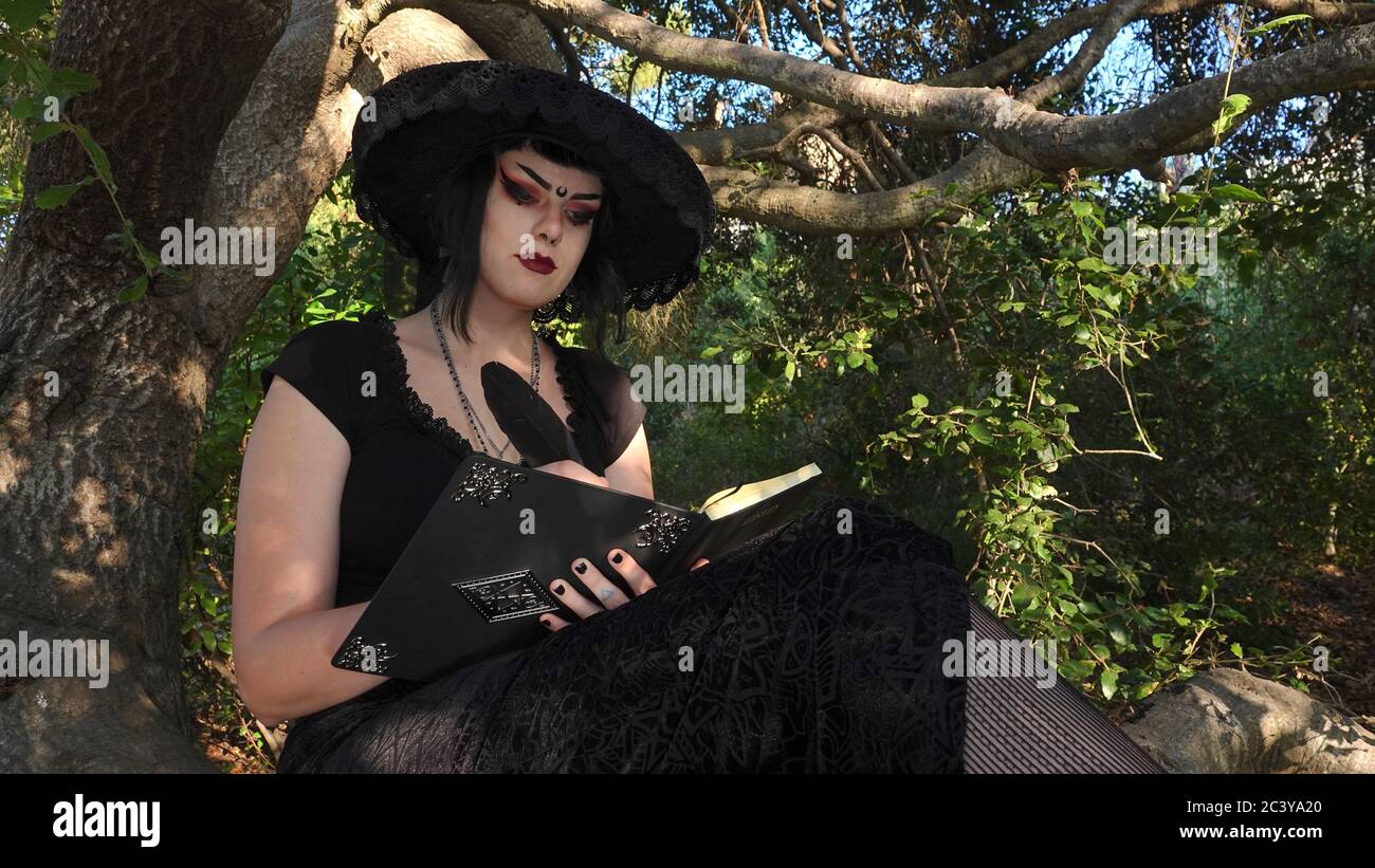 Un teen Wiccan che indossa un vestito nero e un cappello di streghe si siede in un albero che scrive nel suo libro. Foto Stock