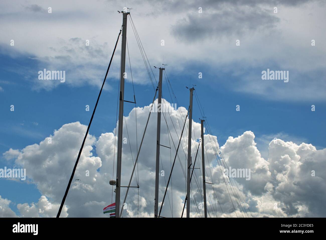 Albero a vela contro cielo blu nuvoloso Foto Stock