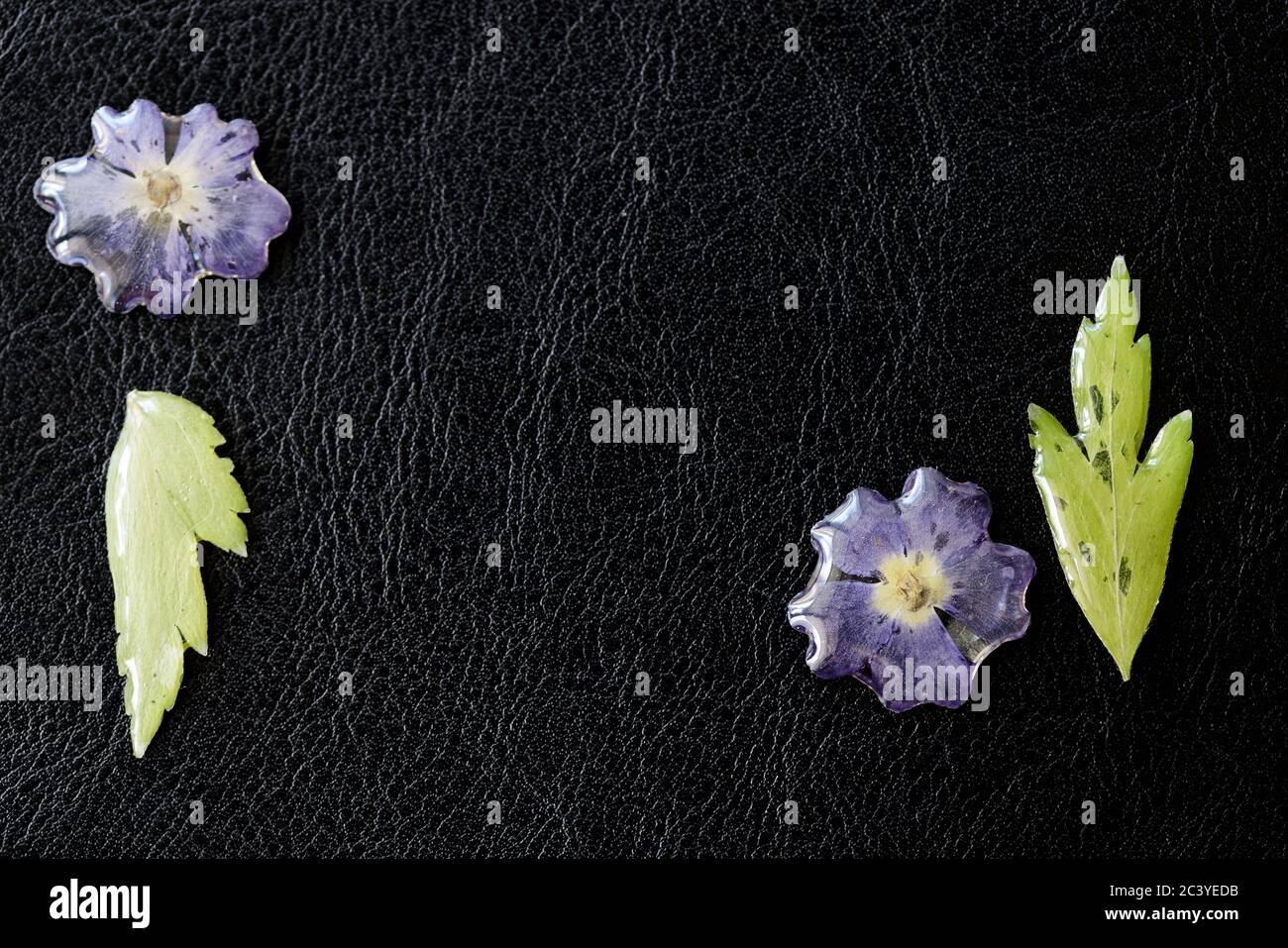 Fiori e foglie avvolti da vicino con resina epossidica su sfondo scuro.  Elementi per gioielli fatti a mano in resina e materiale naturale. Vista  dall'alto Foto stock - Alamy