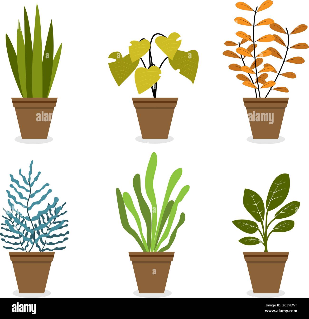 Disegno piano di diversi tipi di piante di casa in vasi marroni, foglie e fiore vettore illustrazione isolato su sfondo bianco Illustrazione Vettoriale
