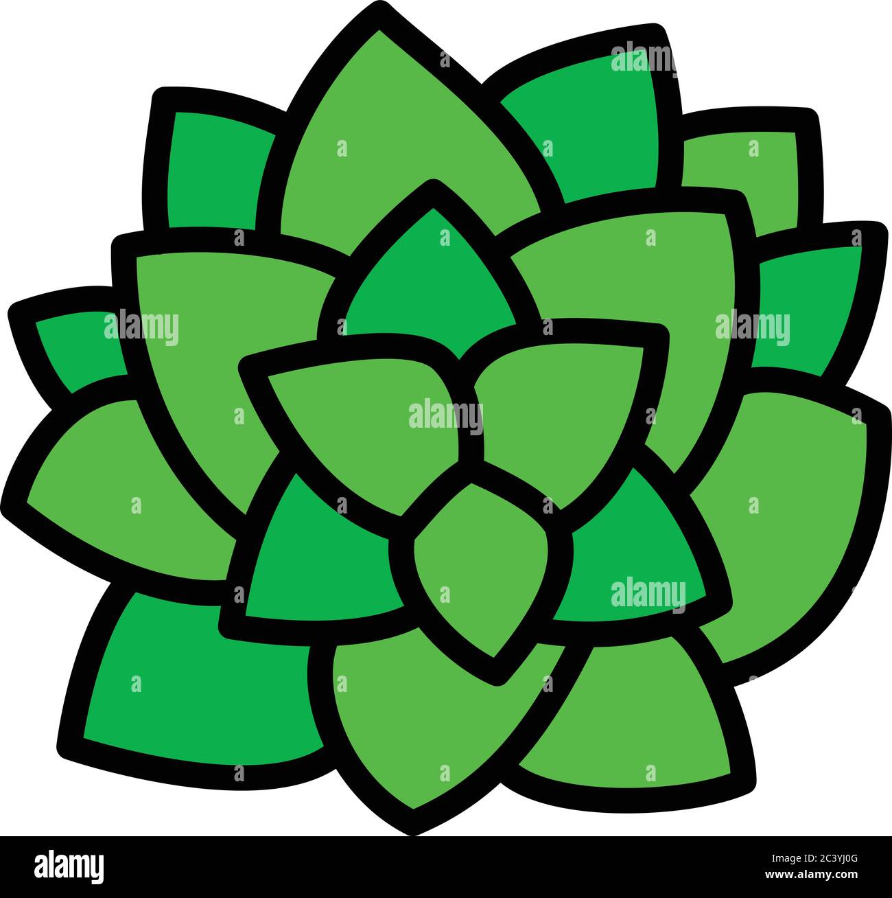 Vista dall'alto icona pianta succulenta. Contorno vista dall'alto icona vettore pianta succulente per il web design isolato su sfondo bianco Illustrazione Vettoriale