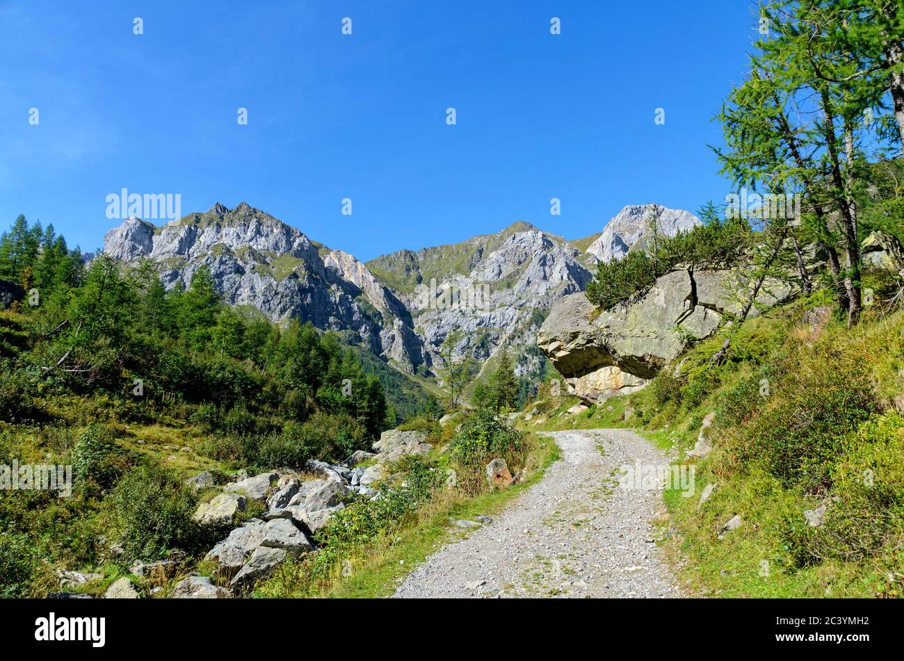 Sentiero escursionistico fino al monte Hochweissstein (Monte Peralba), parte delle alpi Carniche, Austria, Italia Foto Stock