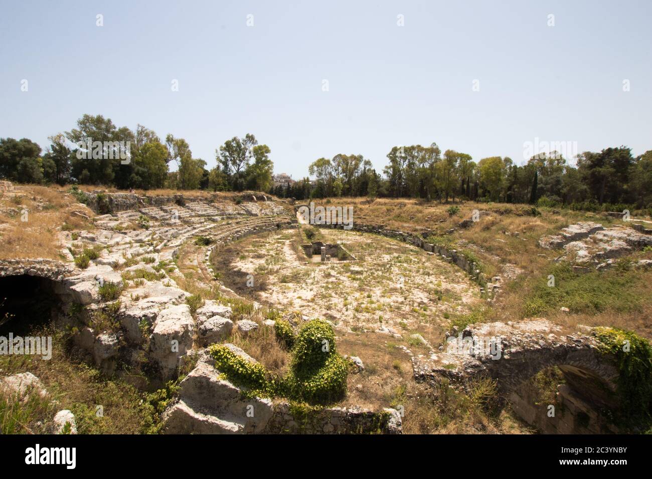 Anfiteatro romano a Siracusa. La vegetazione copre i gradini del teatro e dell'arena Foto Stock