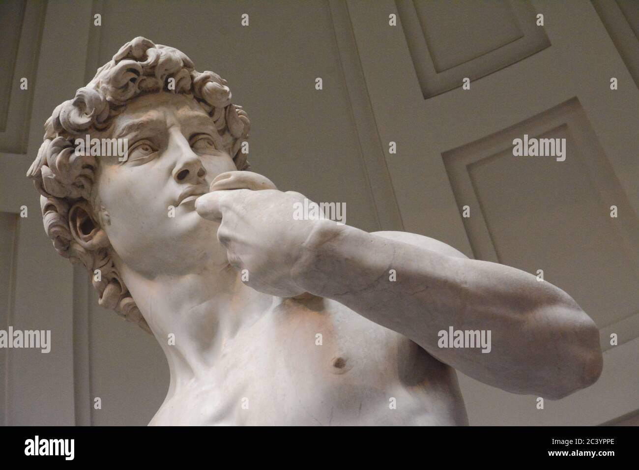 Il David di Michelangelo è una delle statue più importanti del