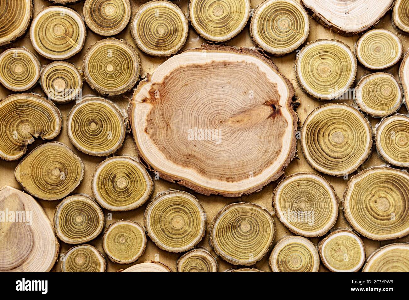 Screensaver, sfondi, texture, concetto di lavorazione del legno - uno sfondo in legno fatto di tronchi di alberi tagliati di diametri diversi sotto forma di A. Foto Stock
