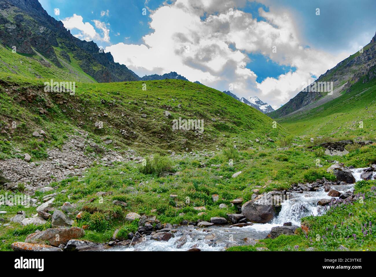 Idilliaco paesaggio estivo con sentieri escursionistici in montagna con bellissimi prati freschi di montagna, cielo blu, fiume e brigde. Foto Stock