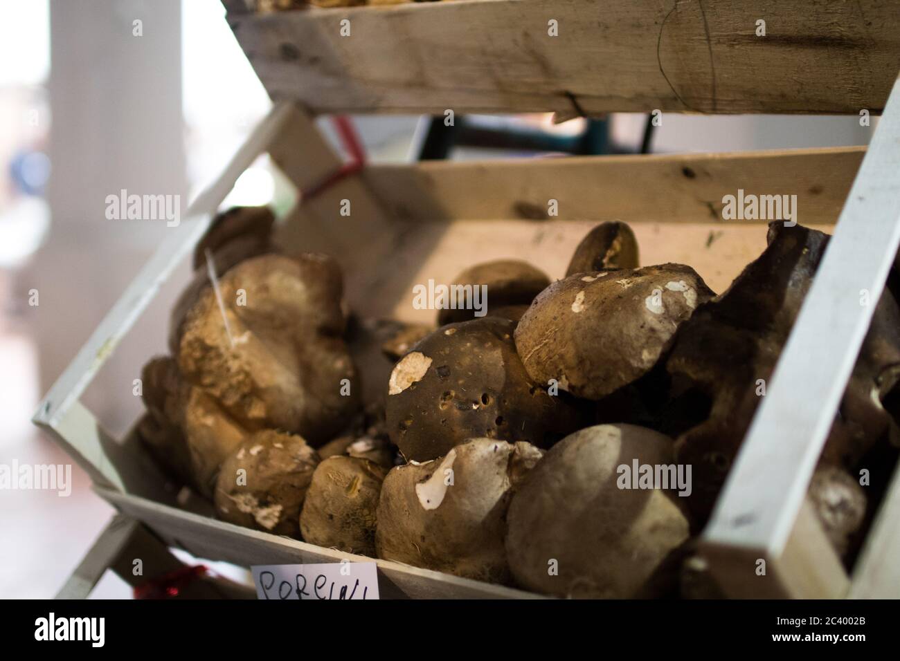 Una cassa di funghi porcini al mercato locale di una storica città italiana. Funghi porcini freschi Foto Stock