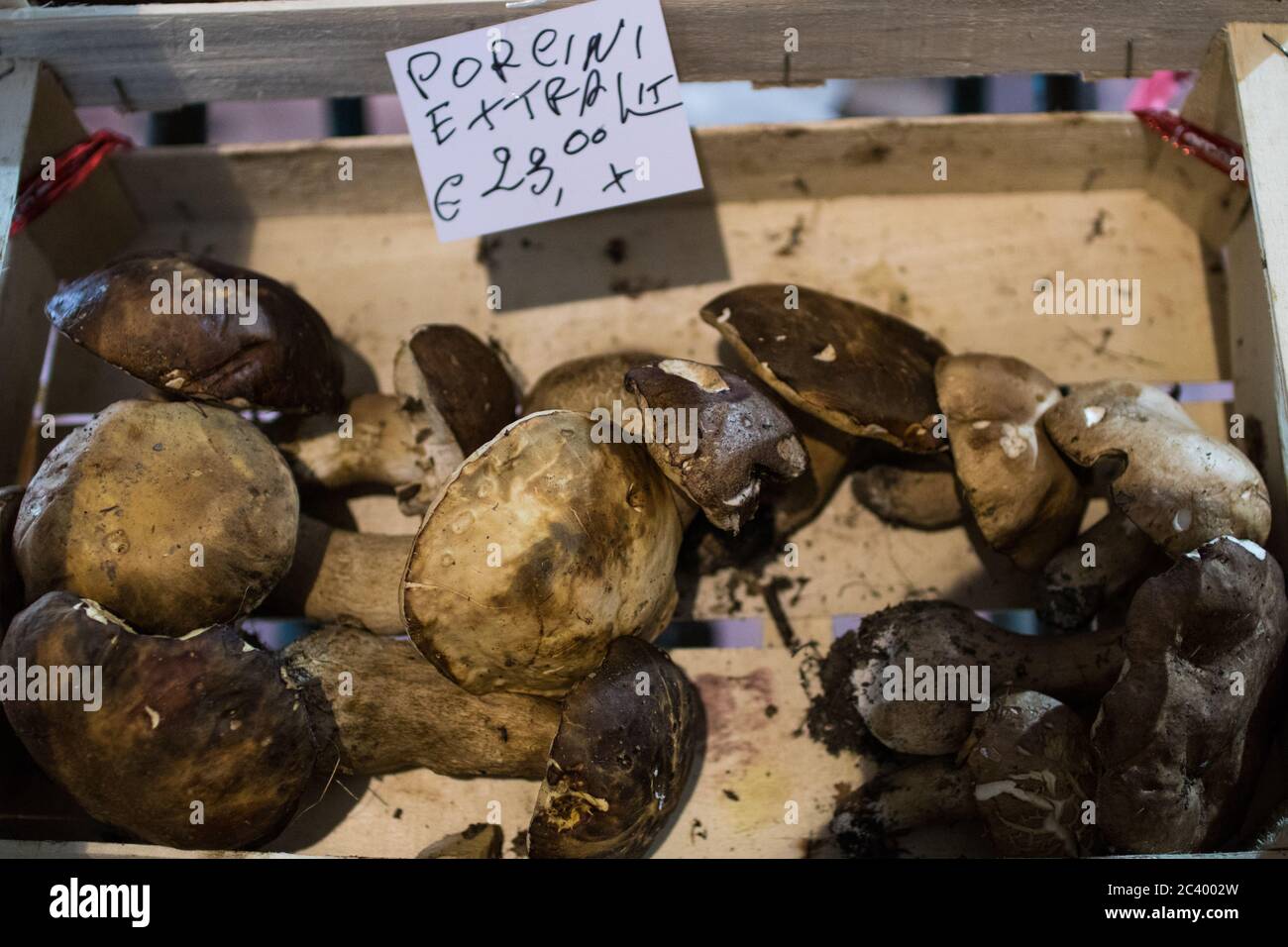 Una cassa di funghi porcini al mercato locale di una storica città italiana. Funghi porcini freschi con il prezzo indicato Foto Stock