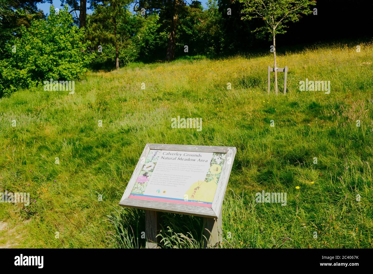 Segno che descrive l'area naturale dei prati in Calverley Grounds, Royal Tunbridge Wells, Kent, Inghilterra Foto Stock