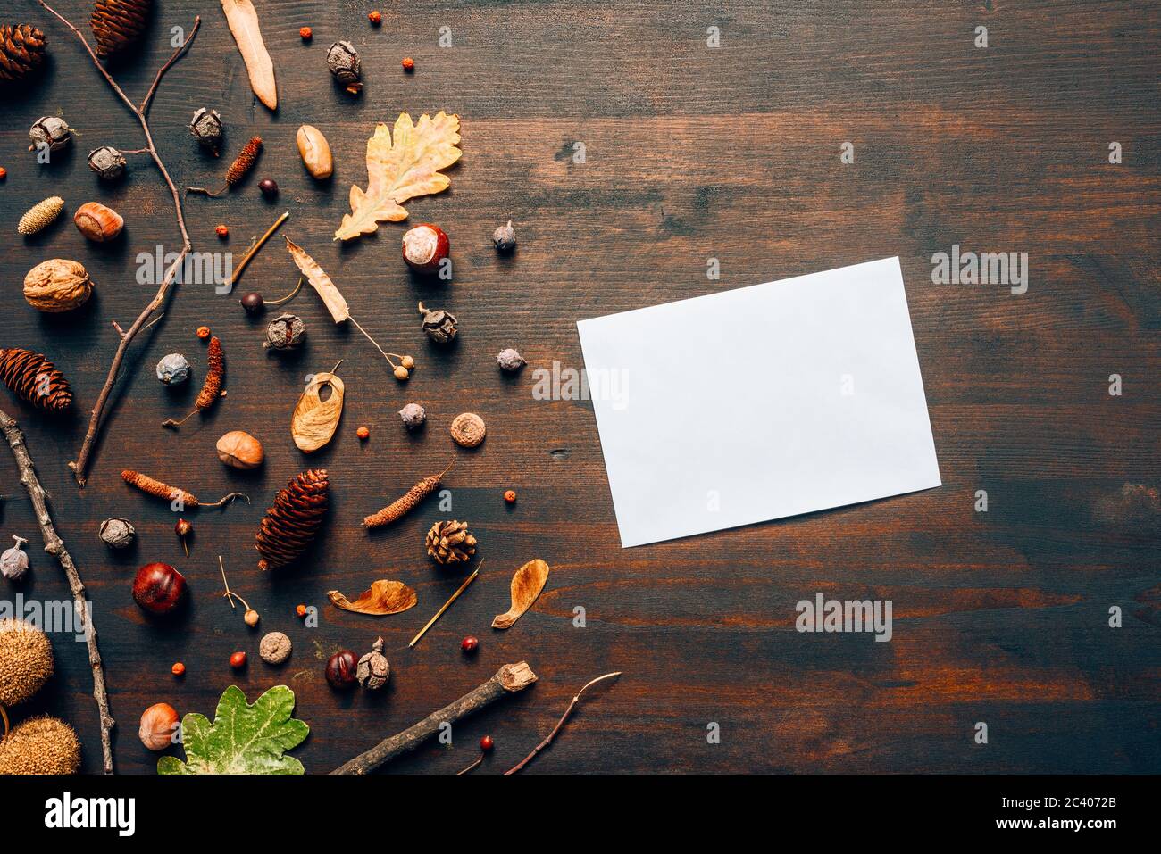 Busta vuota mock up vista dall'alto piatto con decorazione stagione autunno Foto Stock