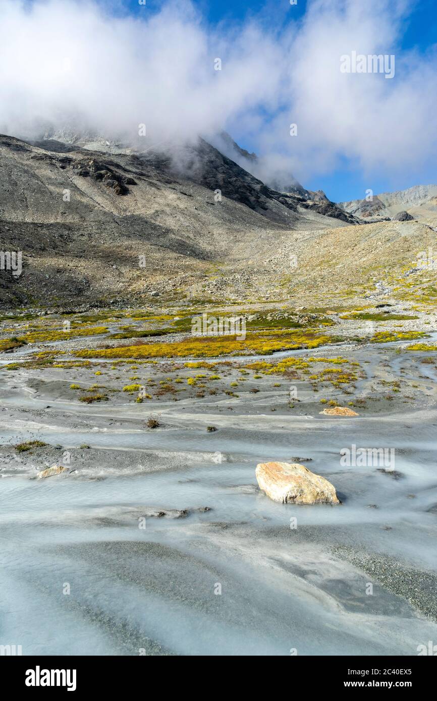 Bachläufe und Bach-Steinbrech (Saxifraga aizoides) auf der Schwemmebene Les Ignes im Val d'Arolla, Kanton Wallis. Hinten der col des Ignes. Foto Stock