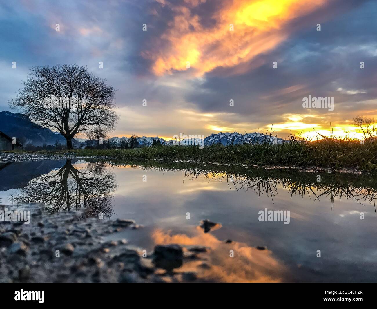 Spiegelbild, ein Baum spiegelt sich in einer Pfütze, Vorarlberger Bergen, Säntis und das Rheintal im Sonnenschein. Dornbirn, Austria, wunderschön Foto Stock