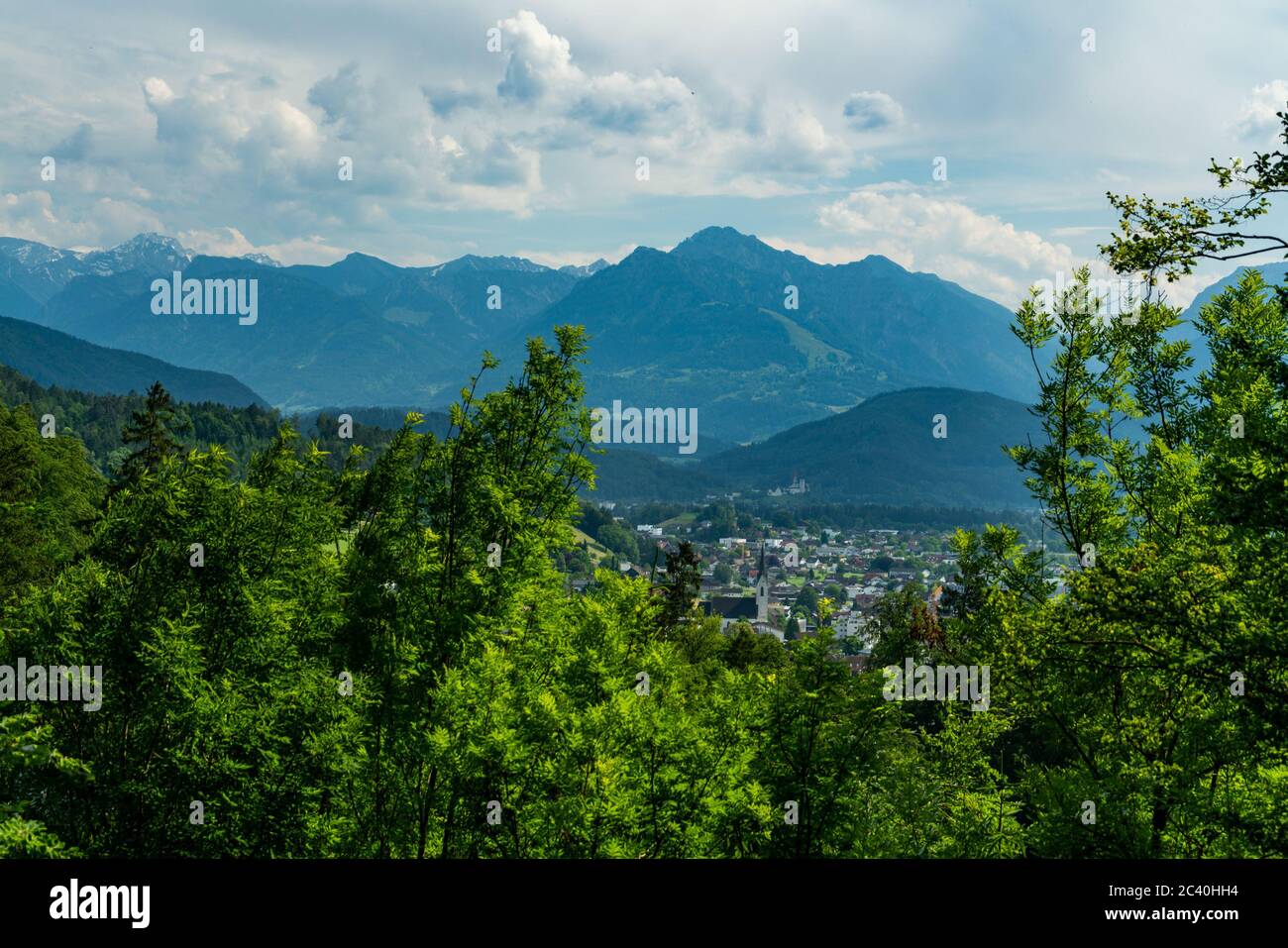Aussicht von Orsanka nach Feldkirch, vista da Orsanka a Feldkirch, Vorarlberg, Austria, alleina stehender Kirschbaum auf der Wiese, Hügel und Berge Foto Stock