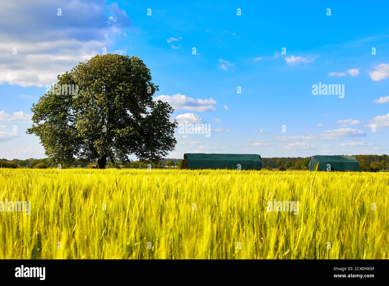 Area agricola tedesca con fienile e fieno Foto Stock