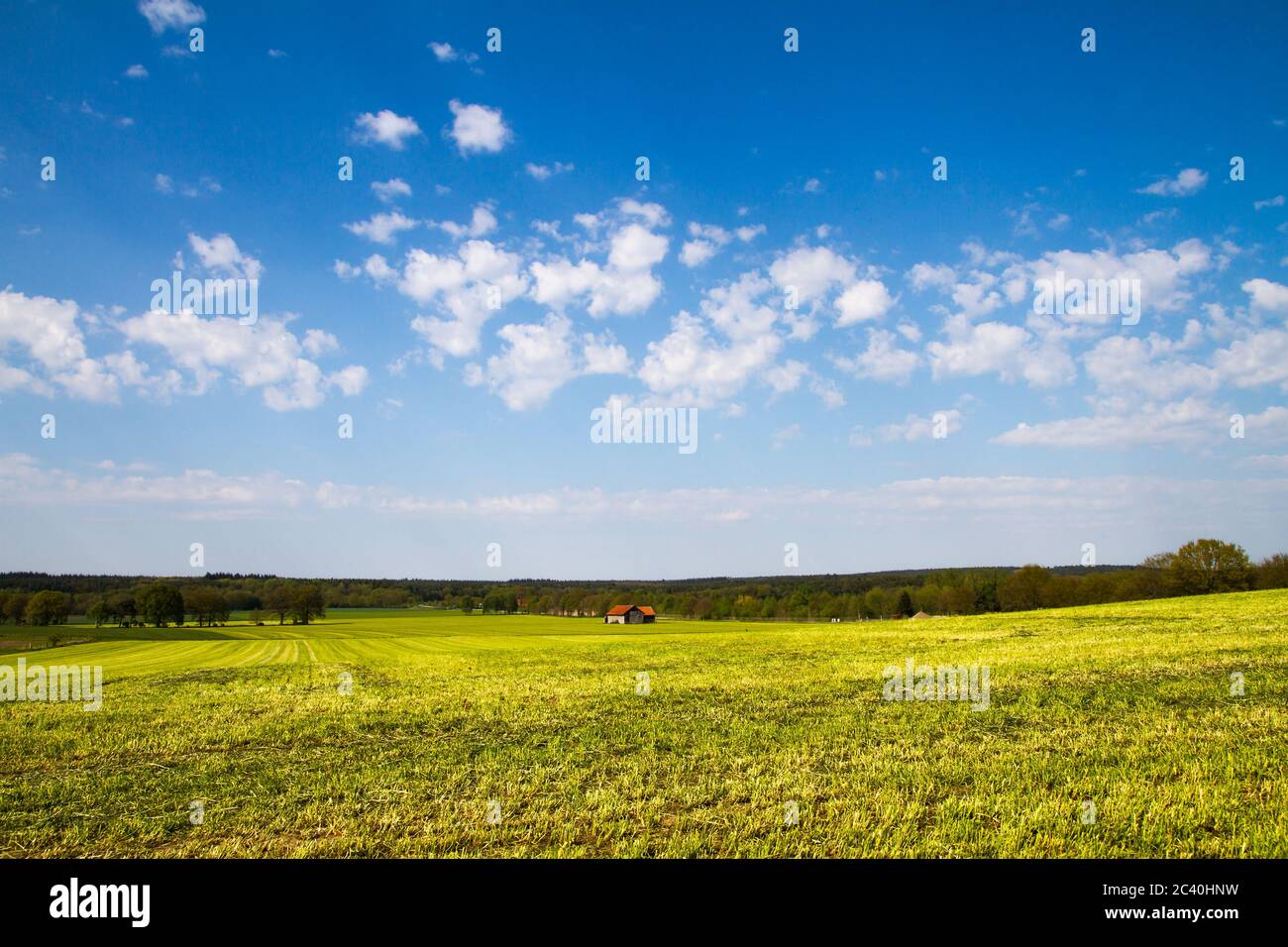 Area agricola tedesca con fienile e fieno Foto Stock