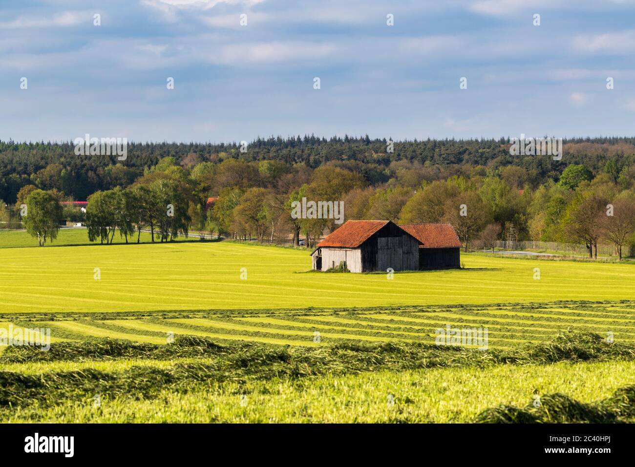 Area agricola tedesca con fienile e fieno Foto Stock