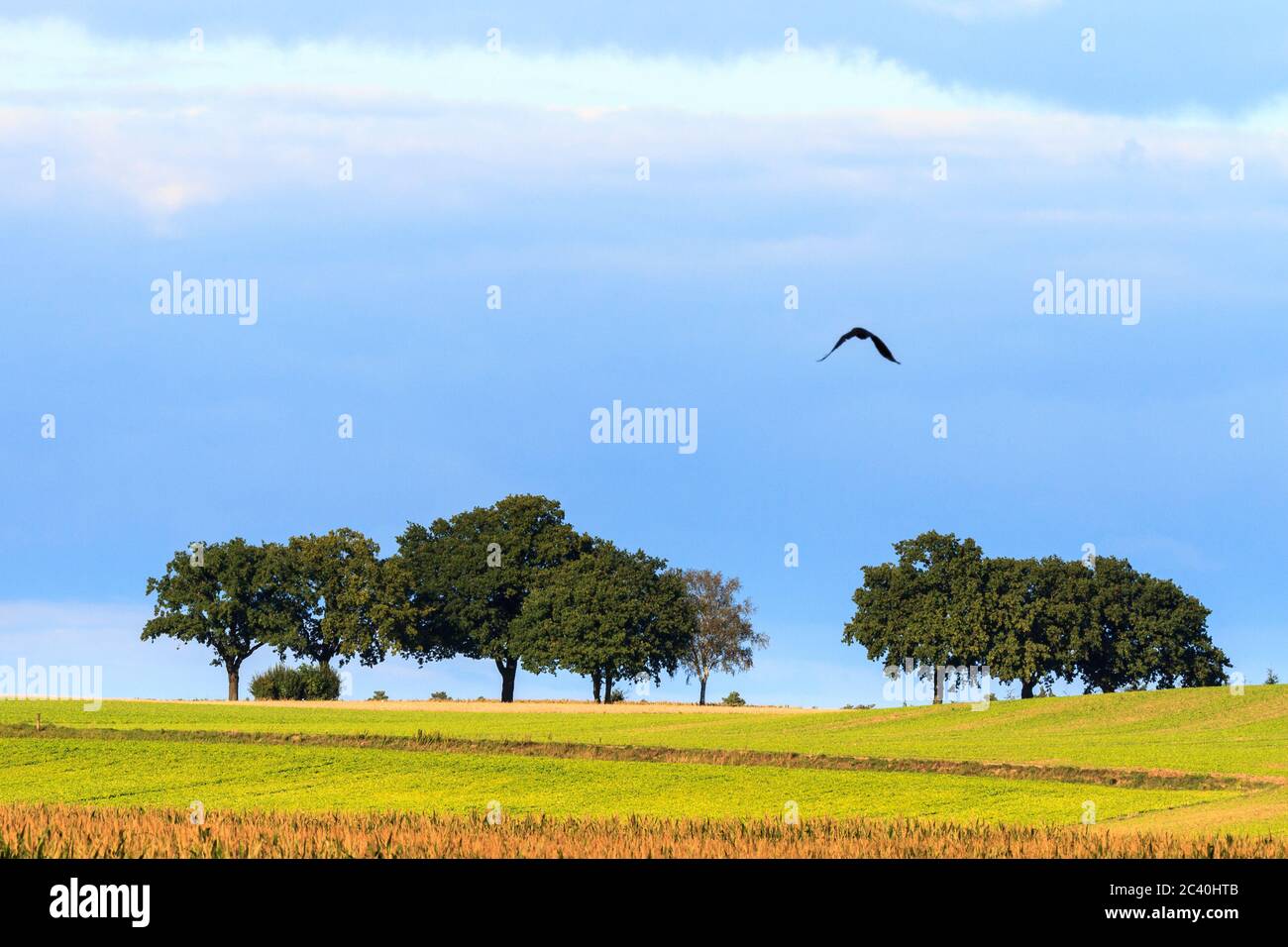 Area agricola tedesca con fienile e fieno Foto Stock