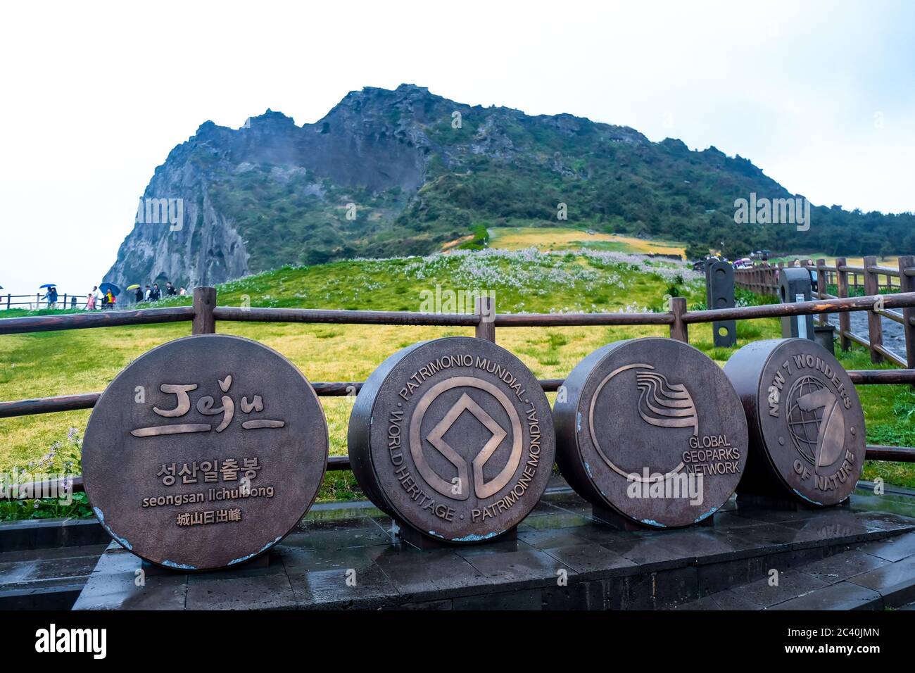 Isole JEJU, COREA DEL SUD: Vista sul Seongsan Ilchulbong Peak, una delle sette meraviglie della natura e un sito patrimonio naturale dell'UNESCO Foto Stock