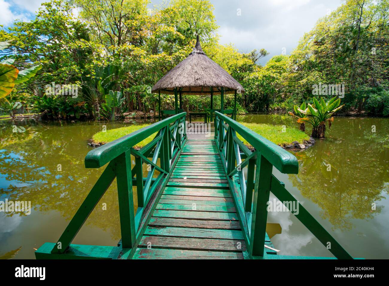 Giardino botanico Pamplemousses, Mauritius. Sir Seewoosagur Ramgoolam Giardino Botanico Foto Stock