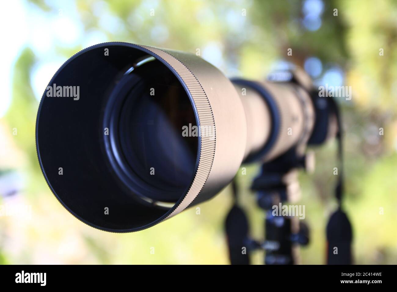 Una vista di tre quarti di un imponente teleobiettivo e della sua visiera parasole, fissata davanti a una telecamera. La cinghia e il treppiede sono visibili sullo sfondo. Foto Stock