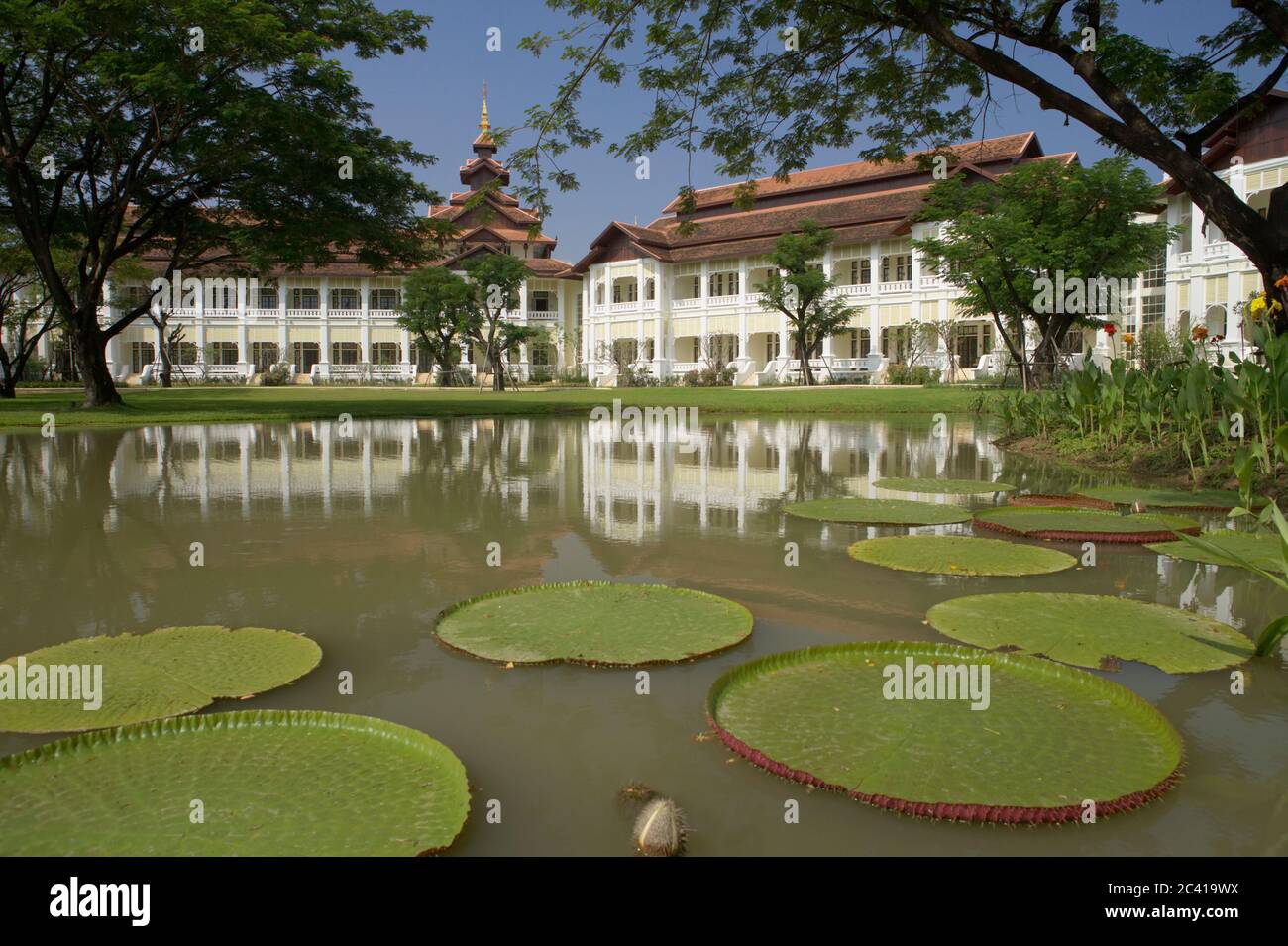 Laghetto con foglie di giglio d'acqua, complesso alberghiero Foto Stock