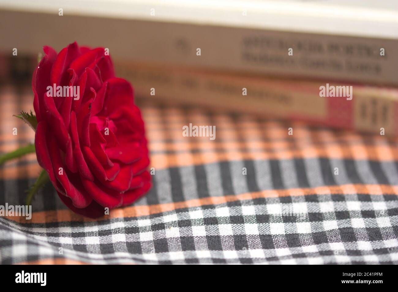 Un fiore rosso è su un tavolo accanto ad alcuni libri di lettura lasciando tra di loro uno spazio per i testi (spazio di copia) Foto Stock