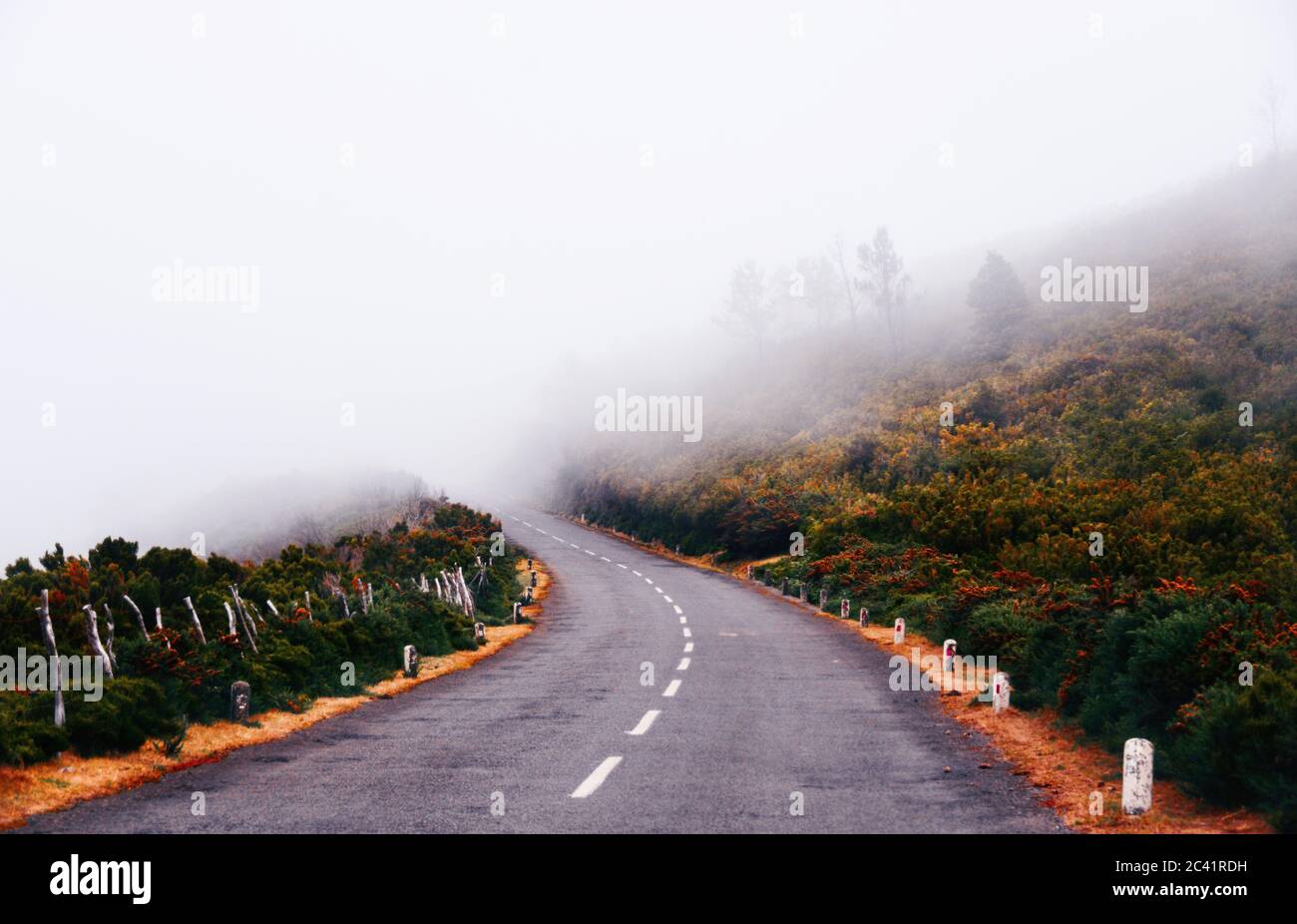 Bella strada di campagna in una mattina nebbiosa Foto Stock