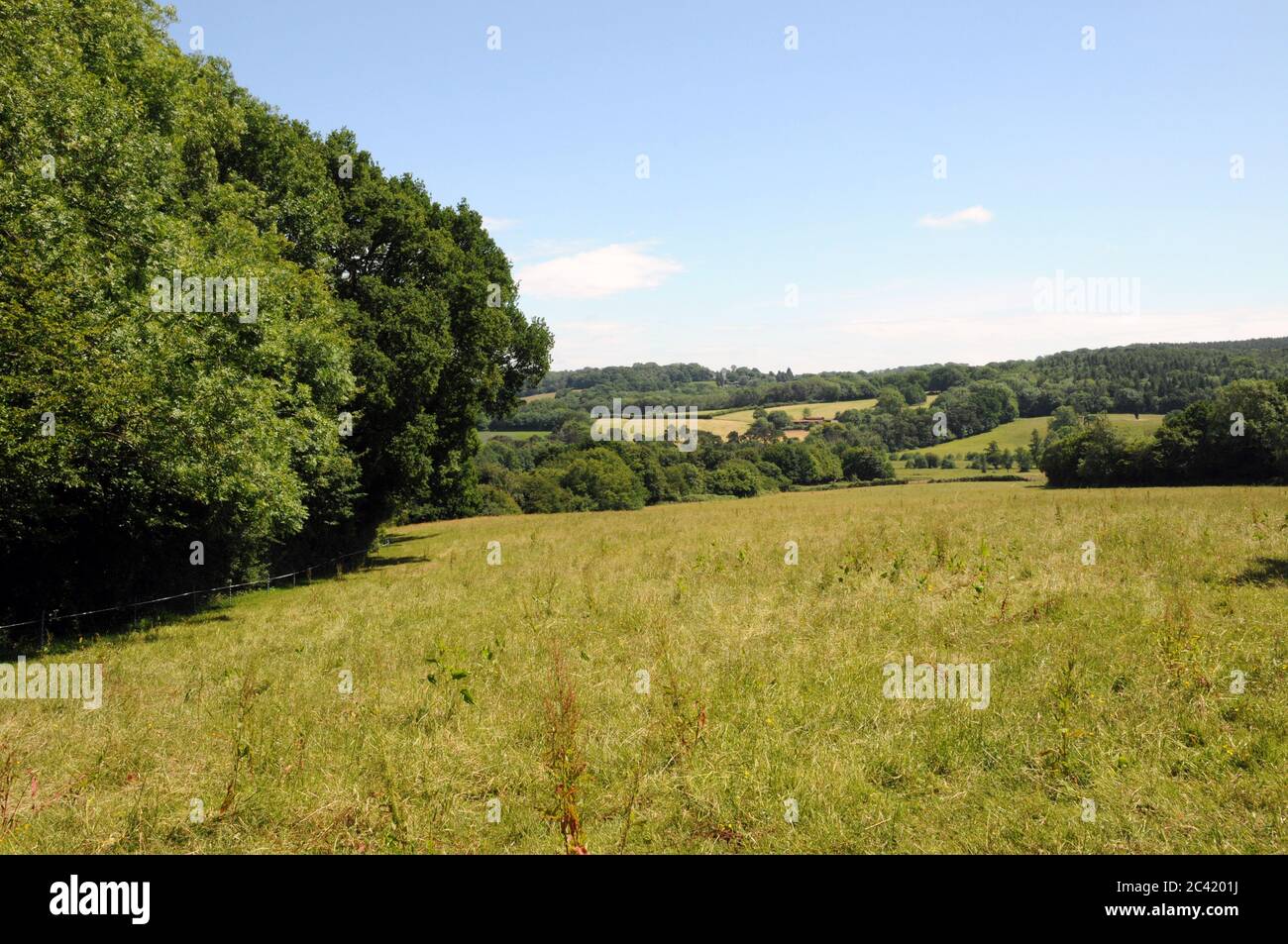 Tipico scenario vicino Burwash nell'Alto Weald del Sussex Est. La zona ha molti sentieri pubblici che lo rendono eccellente a piedi e paese escursionistico. Foto Stock
