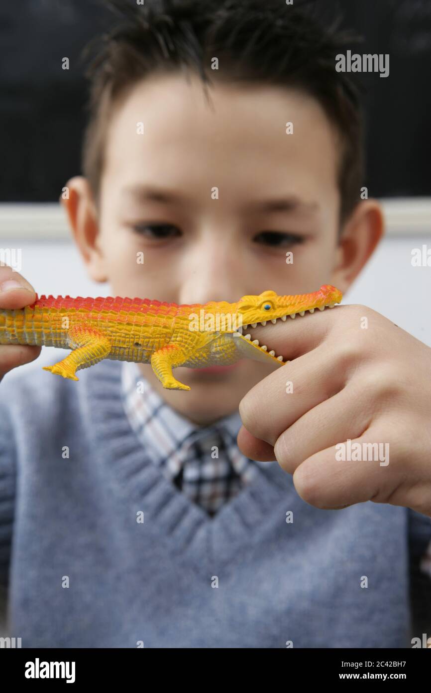 Un ragazzo di scuola gioca con un piccolo coccodrillo giocattolo - pausa Foto Stock