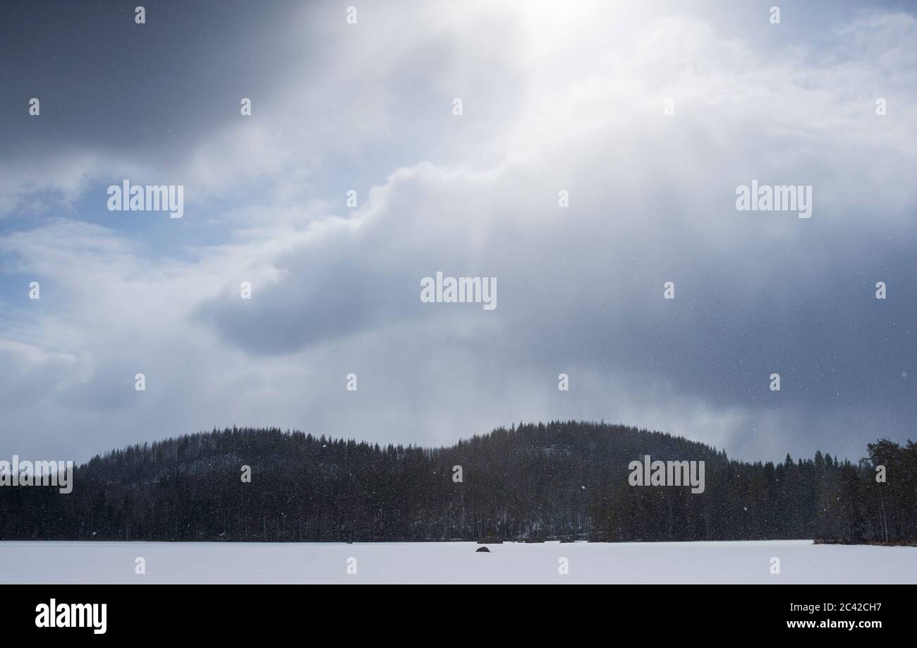 Nuvole scure e nevicante a Winter , Finlandia Foto Stock
