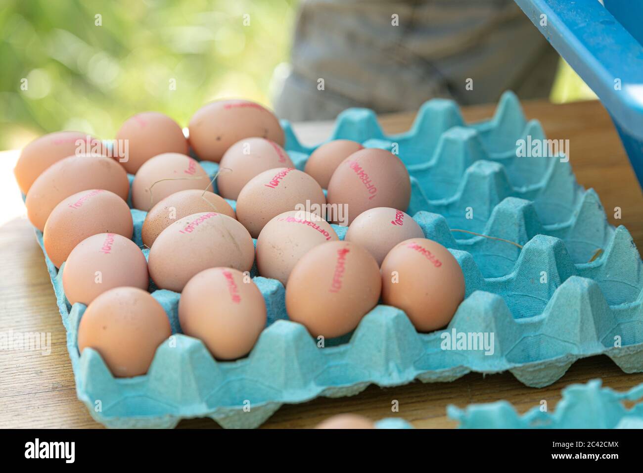 vassoio di uova biologico su un tavolo in vendita Foto Stock