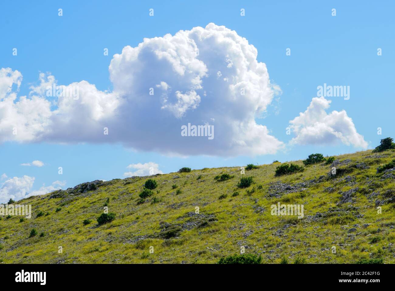 Paesaggio di montagna. Composizione della natura. Foto Stock