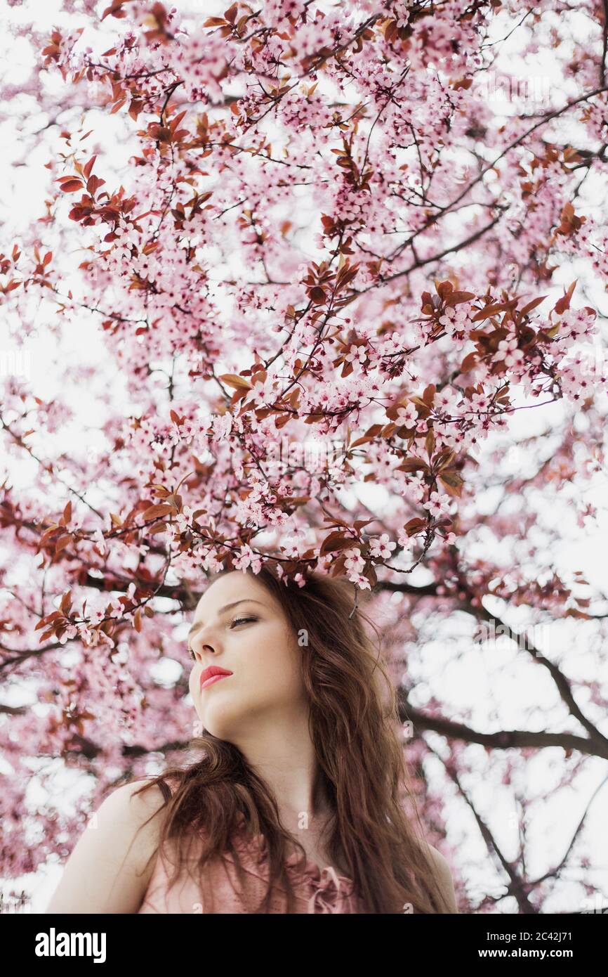 Ritratto di una giovane donna in una molla blossom tree Foto Stock
