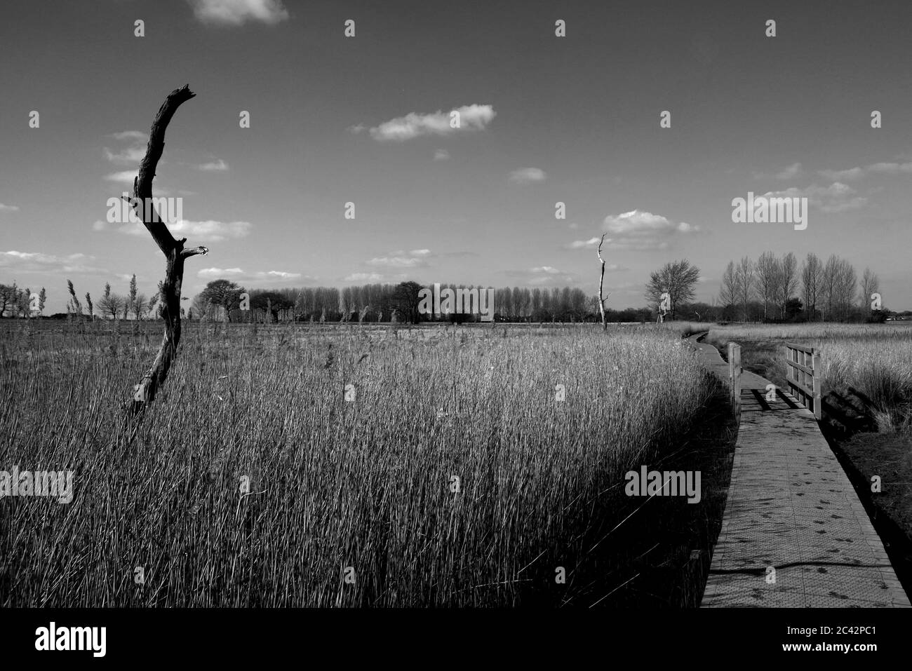 Snape maltings Aldeburgh Suffolk Foto Stock