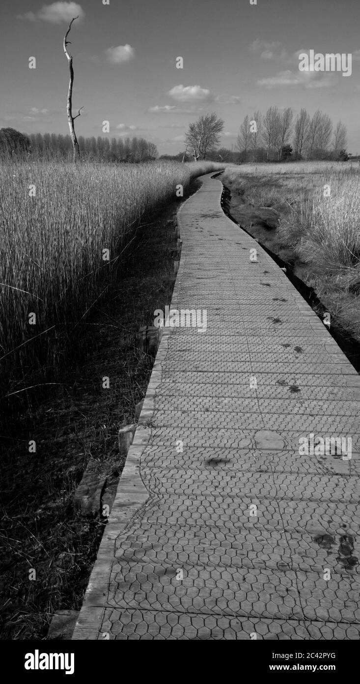 Snape maltings Aldeburgh Suffolk Foto Stock